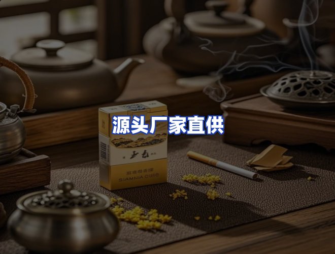 专业团队